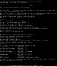 З’єднуємо мережі використовуючи OpenVPN в Debian через TUN - докладний посібник, Готуємо смачний сервер мережі