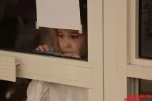 Собака-терапевт золотисті ретрівери допомагають «особливим» дітям - Золотистий ретрівер Золотистий ретрівери
