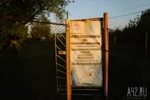 Собача радість тест майданчиків для вигулу тварин у Кемерові радість