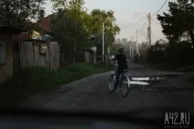 Собача радість тест майданчиків для вигулу тварин у Кемерові тест