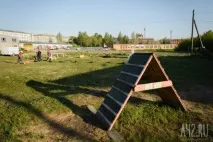 Собача радість тест майданчиків для вигулу тварин у Кемерові тварин