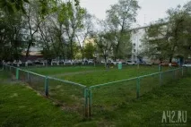 Собача радість тест майданчиків для вигулу тварин у Кемерові вигулу