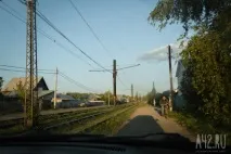 Собача радість тест майданчиків для вигулу тварин у Кемерові радість
