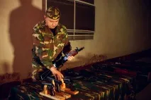 собаки