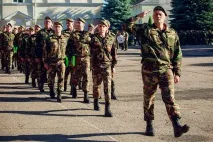 собаки