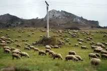 Соляні копальні Велички, The Блог Польщі