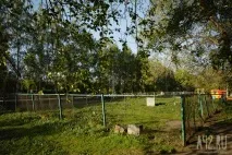 Собача радість тест майданчиків для вигулу тварин у Кемерові собача