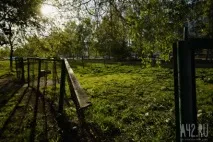 Собача радість тест майданчиків для вигулу тварин у Кемерові тварин
