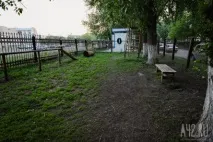 Собача радість тест майданчиків для вигулу тварин у Кемерові майданчиків