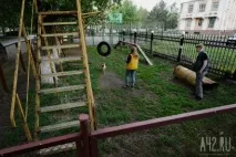 Собача радість тест майданчиків для вигулу тварин у Кемерові тварин