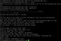 З’єднуємо мережі використовуючи OpenVPN в Debian через TUN - докладний посібник, Готуємо смачний сервер єднуємо