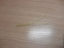 створення