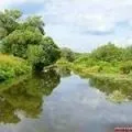 Столиця перших - пошук слів за маскою та визначенням, відповіді на сканворди пошук