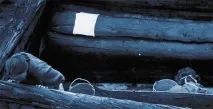 Статті, Наука з перших рук наука