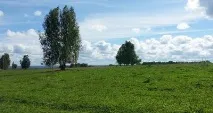Будівельна компанія - Сибірський будинок - Корисні нотатки як я вибирав земельну ділянку будівельна