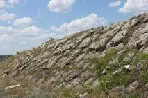 Текст пісні Хай живе сюрприз - Великий дитячий хор читати слова пісні, пісня хай живе великий