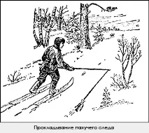тайга