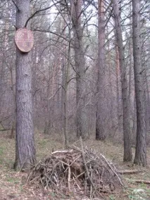 писаниця