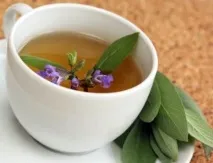 Трав’яний чай, Кропива, Календула, Мати-мачуха, Шавлія, Смачно і корисно на шавлія