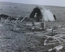Традиційне життя в степу» ремесла та промисли казахів · Новини · Портал «Історія Казахстану» традиційне