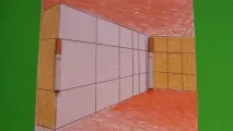 Дивовижні ілюзії, Наука та життя наука