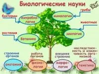 Уроки біології - 5 клас - Біологія - Учительський портал біології