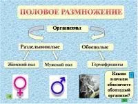 Уроки біології - 5 клас - Біологія - Учительський портал уроки