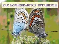 Уроки біології - 5 клас - Біологія - Учительський портал учительський