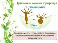 Уроки біології - 5 клас - Біологія - Учительський портал портал