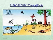 Уроки біології - 5 клас - Біологія - Учительський портал учительський