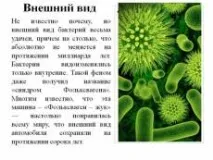 Уроки біології - 5 клас - Біологія - Учительський портал біології