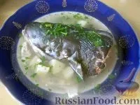 Юшка, рецепти з фото на 407 рецептів юшки