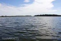 Гуселетівські озера - Наш Алтай району