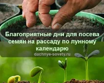 Вирощування овочів та фруктів на дачі, Дачні поради городникам та садівникам поради