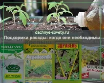 Вирощування овочів та фруктів на дачі, Дачні поради городникам та садівникам поради