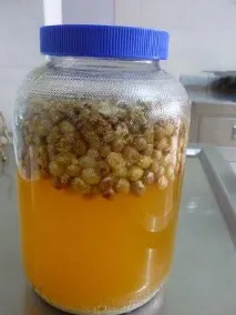 Вино з родзинок рецепт приготування в домашніх умовах вино