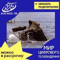 У світі мудрих думок думок