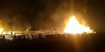 У Кемеровському притулку живцем згоріли 120 собак - новини політики притулку