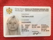 ВНЖ та ПМП у Чорногорії українцям та українським у 2019 році 2019