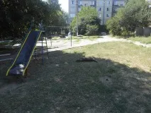 У Нікополі прямо на дитячому майданчику ... травлять собак (Фото 18 ) нікополі