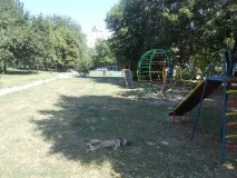 У Нікополі прямо на дитячому майданчику ... травлять собак (Фото 18 ) дитячому