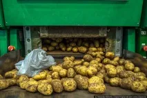 Всім санкціям на зло що купують українці у фінських супермаркетах - НОВИНИ У ФОТОГРАФІЯХ фінських
