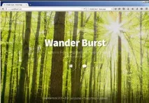 Wander Burst ads Wander