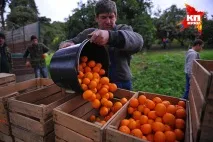 заробити