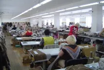 Характеристика сполучних швів сполучних