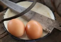 Яйця та яєчні продукти білка