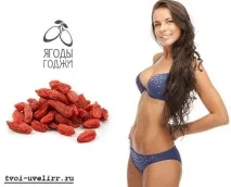 Ягоди годжі годжі