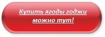 Ягоди годжі ягоди