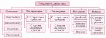Характеристика сполучних швів сполучних