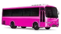 Замовлення автобуса на весілля у Санкт-Петербурзі автобуса